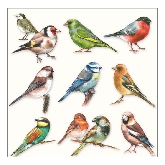 Afbeelding 20x Vogeldecoratie servetten 33 x 33 cm Vogel print door Animals Giftshop