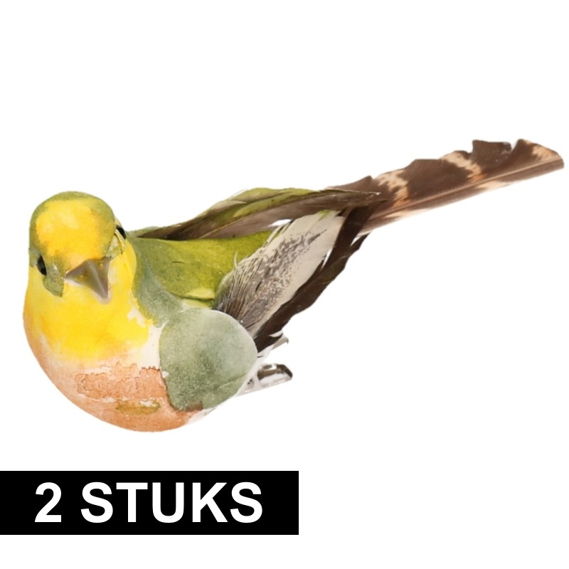 Afbeelding 2x Gekleurde vogel op clip 9 cm door Animals Giftshop