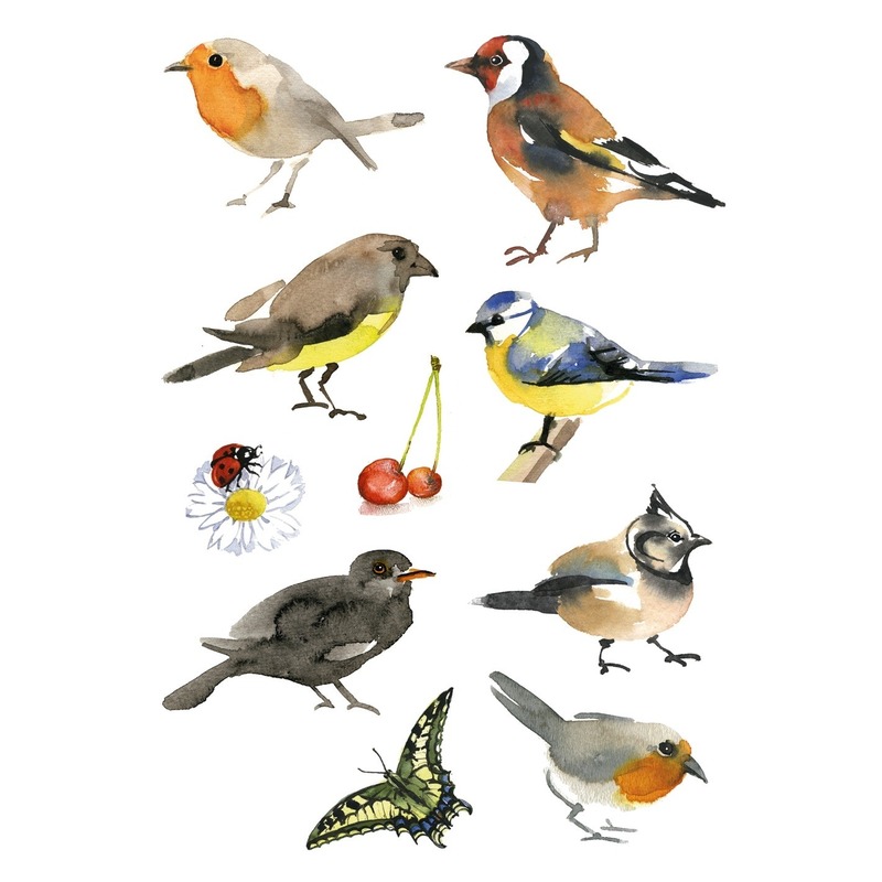Afbeelding 3x Vogel stickervellen met 10 stickers door Animals Giftshop