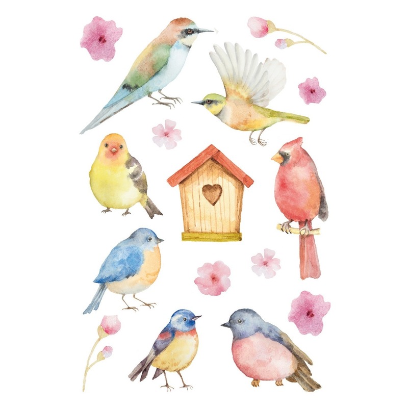 Afbeelding 3x Vogel stickervellen met 16 stickers door Animals Giftshop