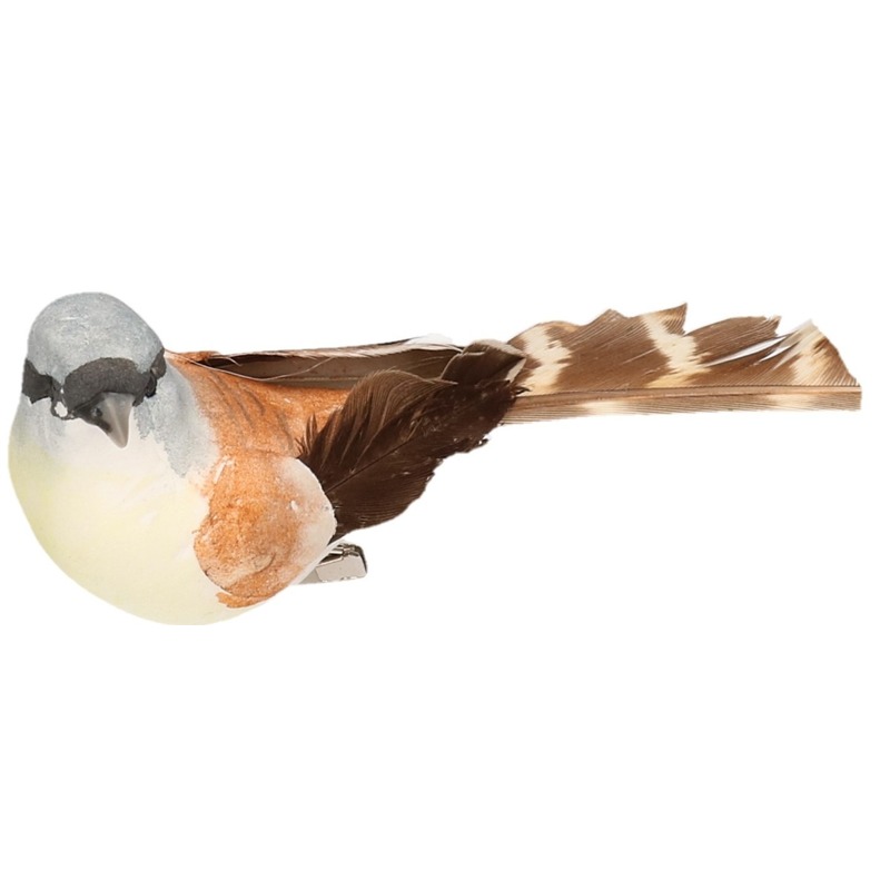 Afbeelding 4x Vogel op clip bruin/wit 9 cm door Animals Giftshop