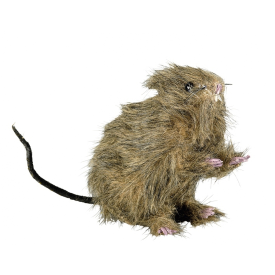 Afbeelding Bruine neppe ratten 13 cm door Animals Giftshop