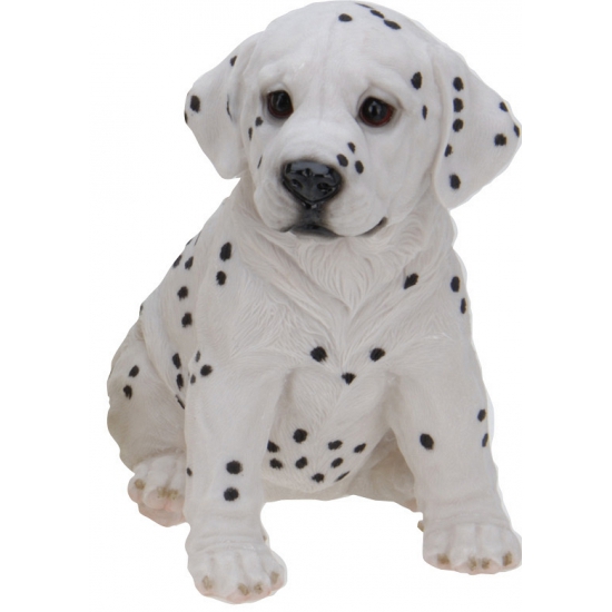 Dalmatier puppy beeldje zittend 23 cm