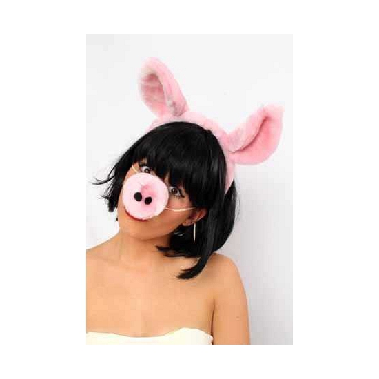 Afbeelding Diadeem met varkens oren en neus door Animals Giftshop