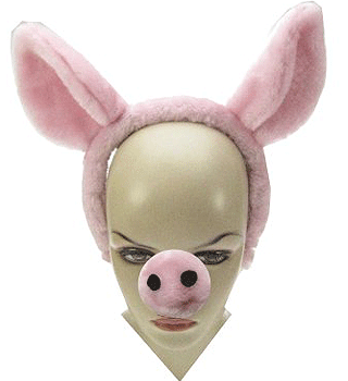 Afbeelding Diadeem met varkens oren en neus door Animals Giftshop