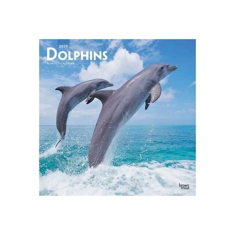 Dolfijnen kalender 2019