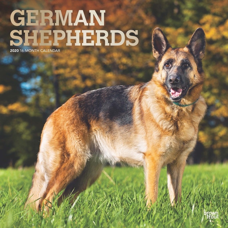 Duitse Herdershond 2020 dieren wandkalender