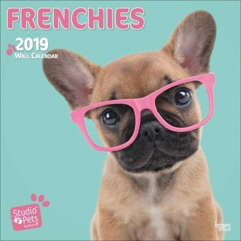 Franse Bulldogs kalender 2019