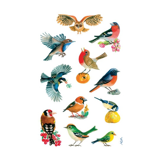 Afbeelding Gekleurde vogel stickertjes 3 vellen door Animals Giftshop