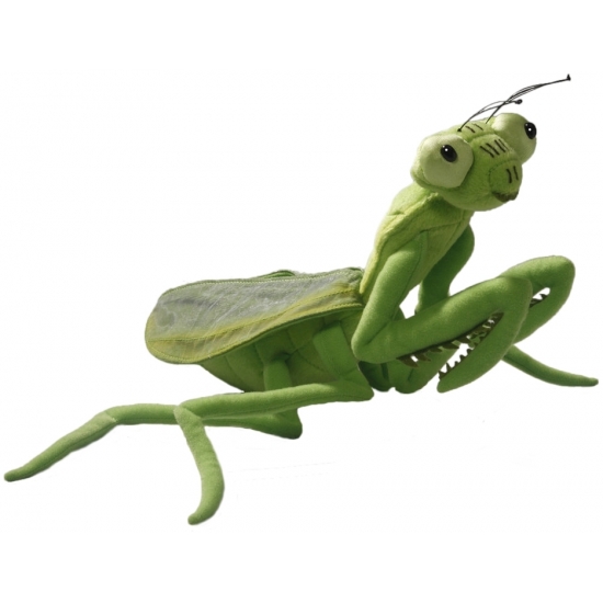 Afbeelding Groene bidsprinkhaan decoratie dier 35 cm door Animals Giftshop