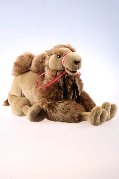 Afbeelding Grote kameel knuffel 60 cm door Animals Giftshop