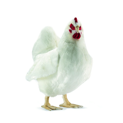 Afbeelding Hansa witte knuffel kipje 40 cm door Animals Giftshop
