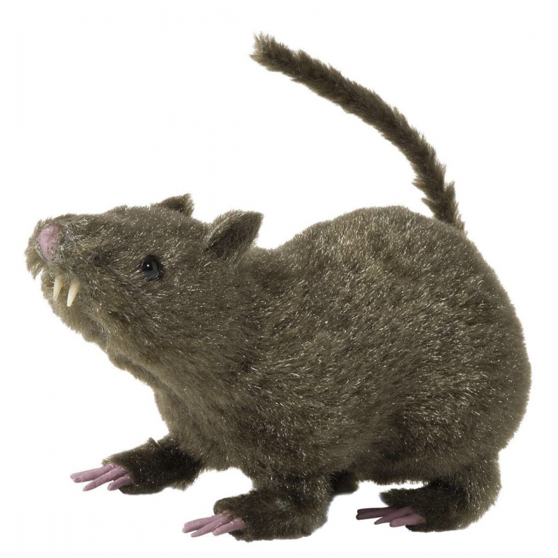 Afbeelding Harige decoratie ratten bruin 21 cm door Animals Giftshop