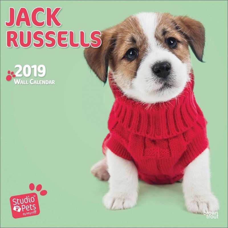 Jack Russels kalender 2019