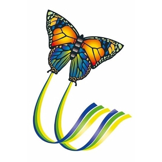 Afbeelding Kindervlieger vlinder gekleurd door Animals Giftshop