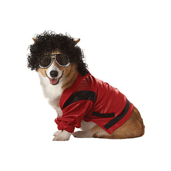 Afbeelding King of pop pakje voor honden door Animals Giftshop