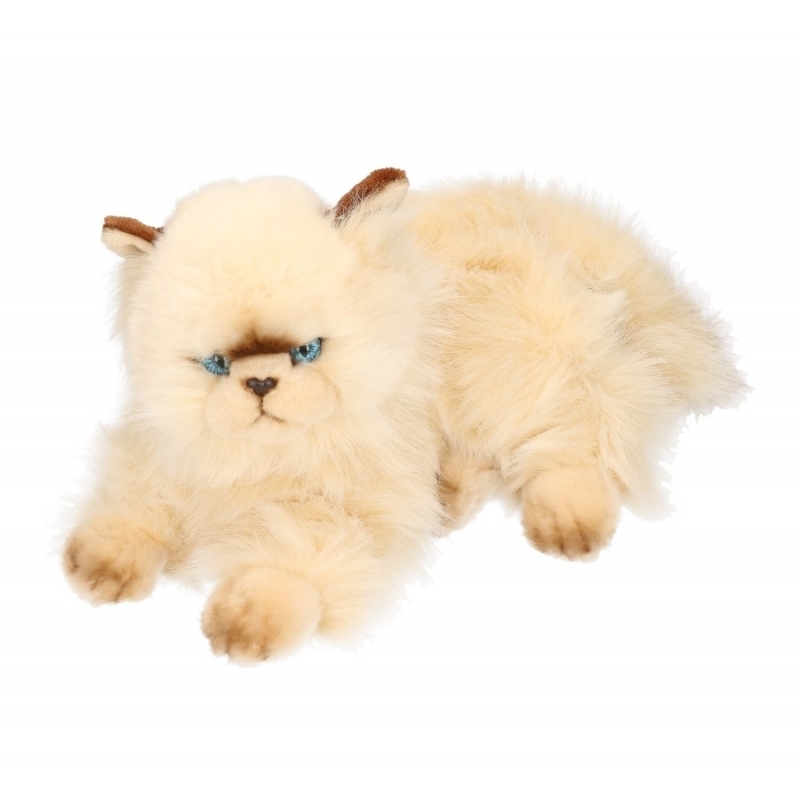Afbeelding Knuffel kat persisch van 30 cm door Animals Giftshop