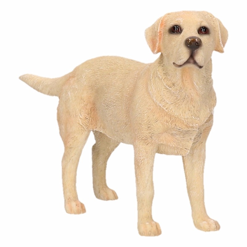 Afbeelding Labrador decoratie beeldje 15 cm door Animals Giftshop