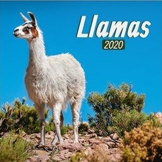 Lama/alpaca 2020 dieren wandkalender