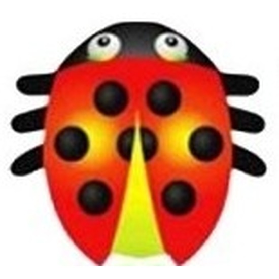 Afbeelding Lieveheersbeestje speel vlieger 55 x 65 cm door Animals Giftshop