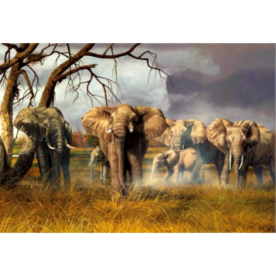 Afbeelding Olifanten placemats 3D door Animals Giftshop