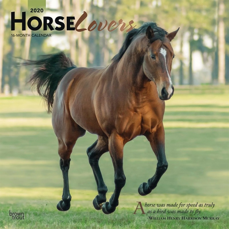 Paard/pony 2020 dieren wandkalender