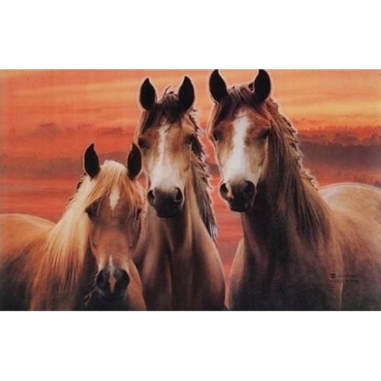 Paarden placemats 3D type 2