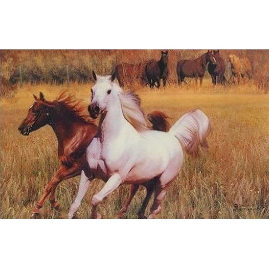 Paarden placemats 3D type 3