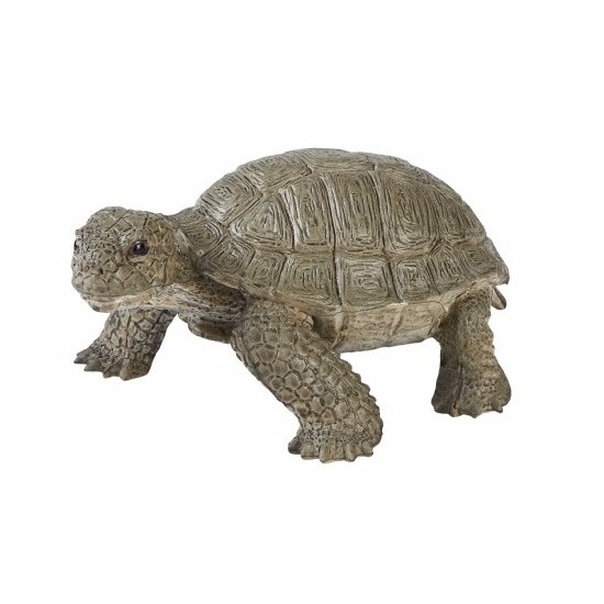 Afbeelding Plastic schildpad 14 cm door Animals Giftshop