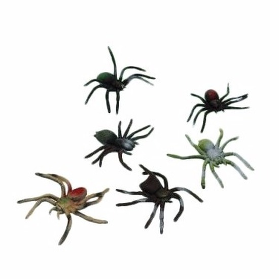 Afbeelding Plastic spinnen 10 cm door Animals Giftshop