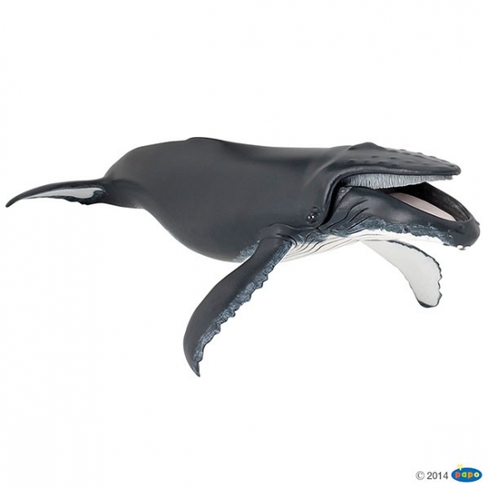 Afbeelding Plastic walvis speeldiertje 29 cm door Animals Giftshop