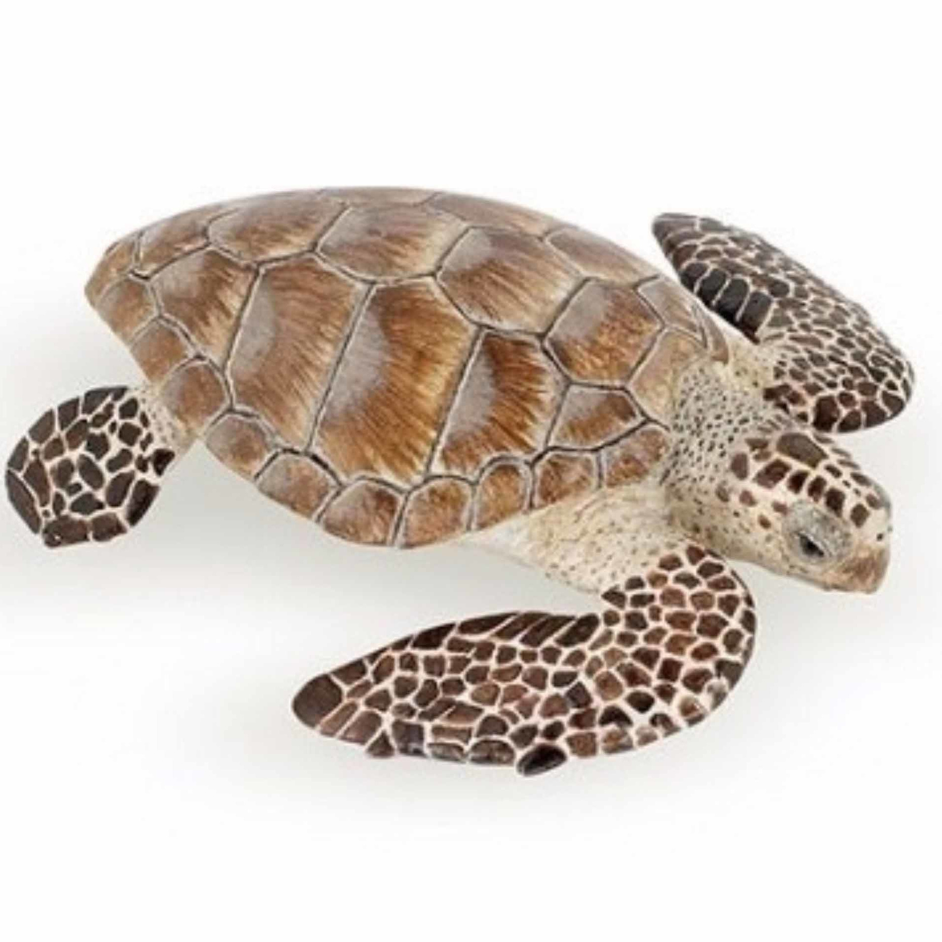 Afbeelding Plastic zeeschildpad speeldiertje 7,5 cm door Animals Giftshop