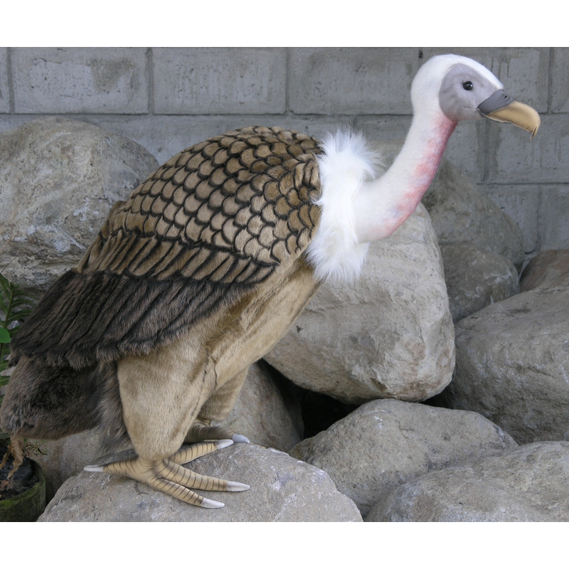 Afbeelding Pluche gieren knuffel 76 cm door Animals Giftshop