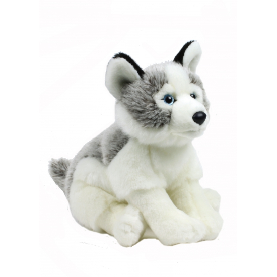 Afbeelding Pluche knuffel Husky hond 38 cm door Animals Giftshop