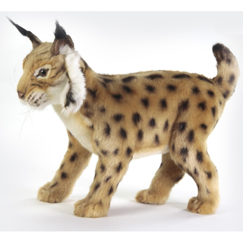 Afbeelding Pluche lynx knuffel 35 cm door Animals Giftshop
