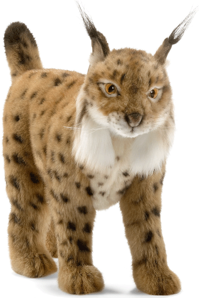 Afbeelding Pluche lynx knuffel 35 cm door Animals Giftshop