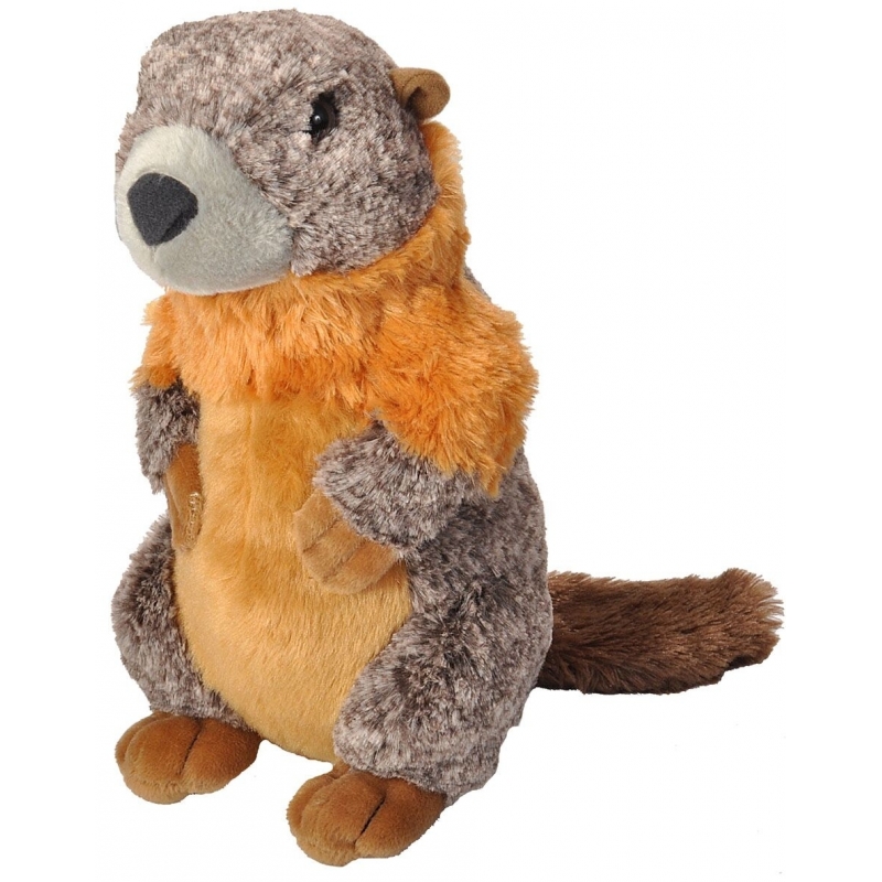 Pluche marmot knuffeldier 30 cm