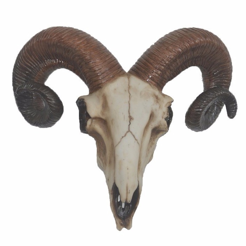 Ram schedel woondecoratie 32 cm