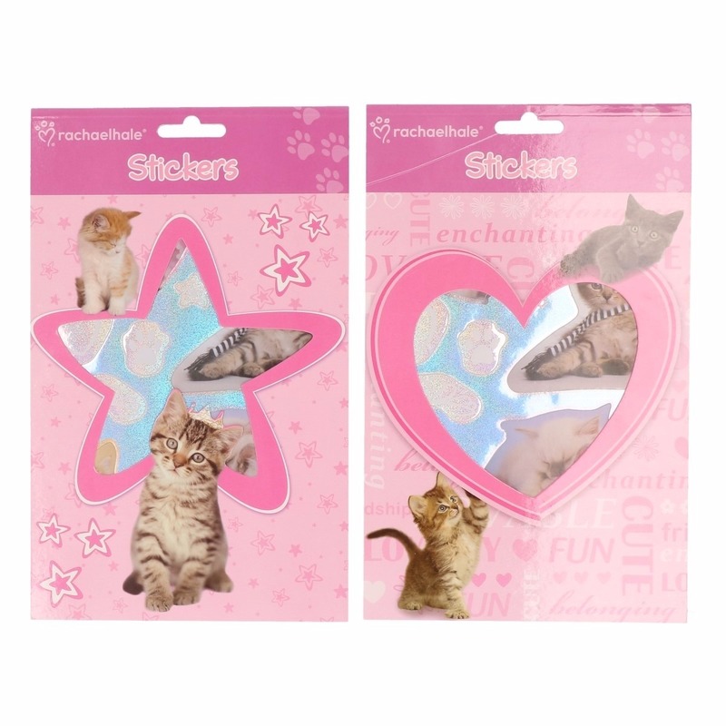 Roze stickerboekje met kittens