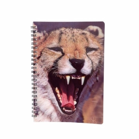 Afbeelding Schriftje luipaard 3D 21cm door Animals Giftshop