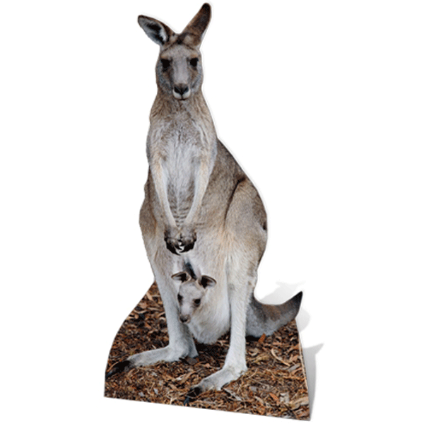 Afbeelding Star cut-out kangoeroe door Animals Giftshop