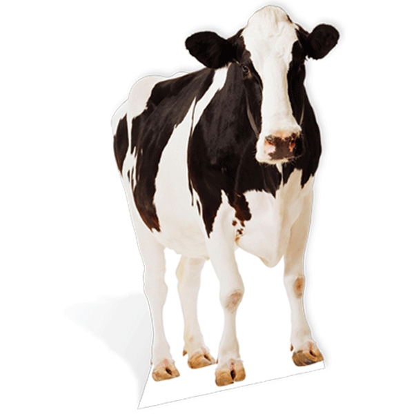 Afbeelding Star cut-out koe door Animals Giftshop