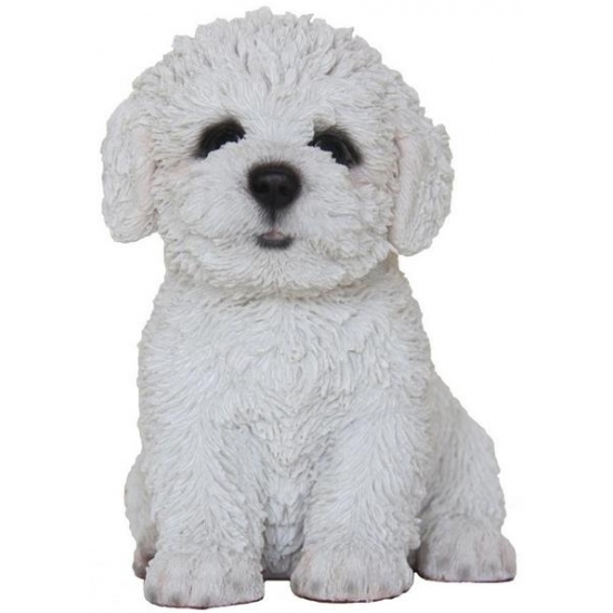 Afbeelding Tuin Bichon Frise beeldje hond 15 cm door Animals Giftshop