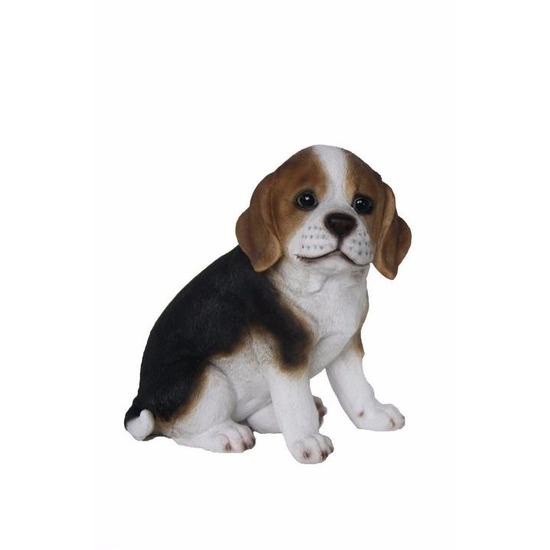 Tuinbeeld Beagle hond pup type 1