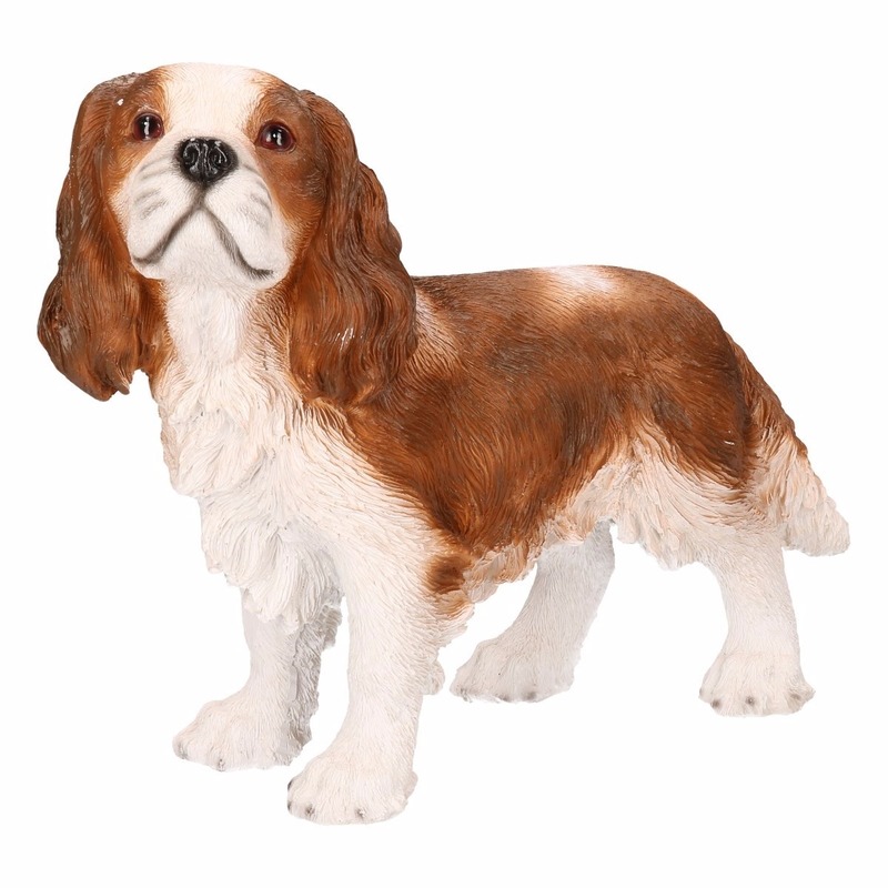 Afbeelding Tuinbeeld King Charles hond 43 x 41 x 15 cm door Animals Giftshop