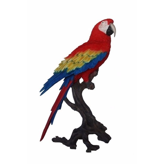 Tuinbeeld rode papegaai 70 cm