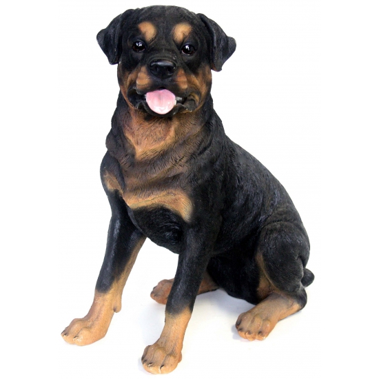 Afbeelding Tuinbeeld Rottweiler waakhond 53 cm door Animals Giftshop