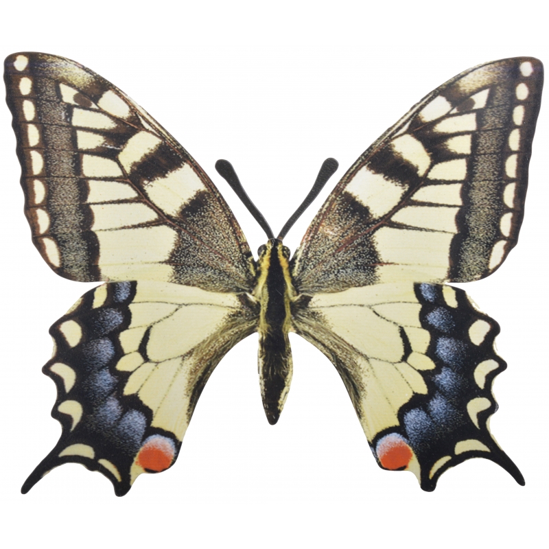 Afbeelding Tuindecoratie koninginnenpage muurvlinder van metaal 25 cm door Animals Giftshop