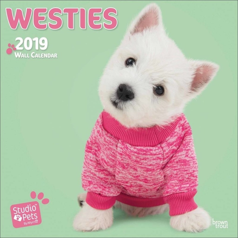 West Highland terrier kalender 2019