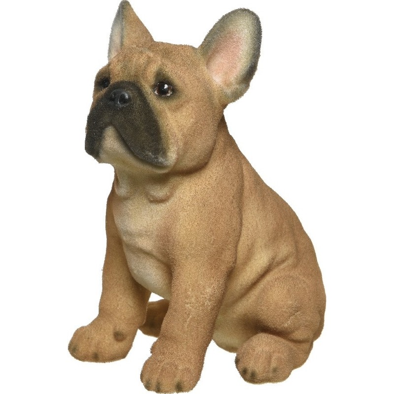 Woondecoratie beeld beige Franse bulldog hondje 30 cm